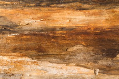 Yıpranmış bir odun parçasının detaylı bir görüntüsü. Ahşabın çeşitli renkleri ve dokuları var. Bu da doğal desenleri ve maddenin yaşını gösteriyor..