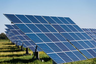 Güneşli bir günde, açık alanda güneş panelleri sıra sıra dizilir. Güneş parlıyor, panellerden yansıyor. Çimenler güneş yapılarının temelleri etrafında büyür..