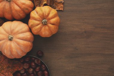 Kurumuş sonbahar yaprakları ve yanında küçük meyveler olan ahşap bir masanın üzerine yerleştirilmiş balkabağı koleksiyonu. Bu sahne sonbaharın renklerini ve dokularını yansıtır..