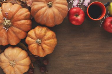 Bir kolaj ahşap bir masada düzenlenmiş birkaç balkabağı ve kırmızı elmayı gösterir. Sonbahar yapraklarıyla çevrili bir fincan kahve yakınlarda oturur. Sahne sonbahar aktivitelerinin özünü yakalıyor..