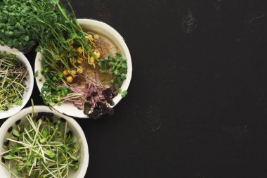 Farklı türde filizler koyu bir yüzeyde beyaz kaselerde sergilenir. Bu filizler taze, salatada ya da malzemede kullanılmaya hazır. Yemekler için sağlıklı bir seçenek sunuyorlar..