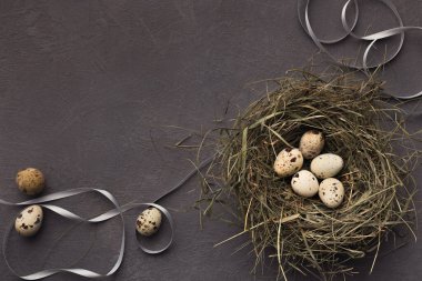 İpek kurdele ile gri taş arka planda yuvada bıldırcın Paskalya yumurtası. Bahar tatili için tebrik kartı için mockup. Üstteki görünüm, kopya alanı