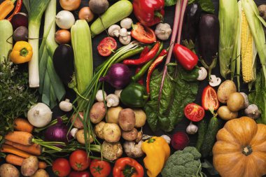 Biber, domates, mısır ve yeşillikler de dahil olmak üzere çeşitli taze sebzeler karanlık bir yüzeyde mozaik bir düzende düzenlenir. Koleksiyon bir dizi renk ve ürün türlerini gösterir.