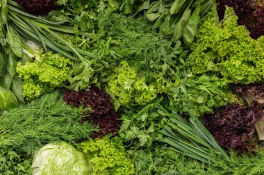 Yeşil arka plan. Çeşitli yeşil sebze ve otlar, üstten görünüm, kopya alanı topluluğu