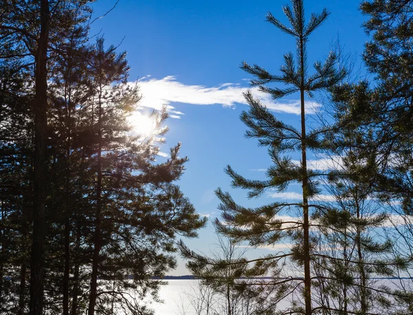 Céu sob o lago no inverno — Fotografia de Stock