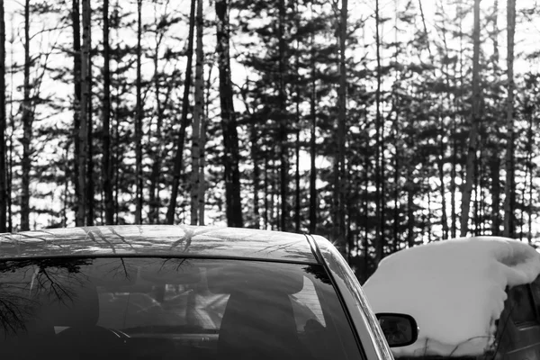 Forest, cars and winter