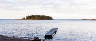 Göl ve ormanlı manzara