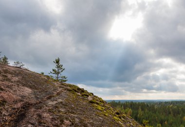  sonbahar yatay, sunbeam