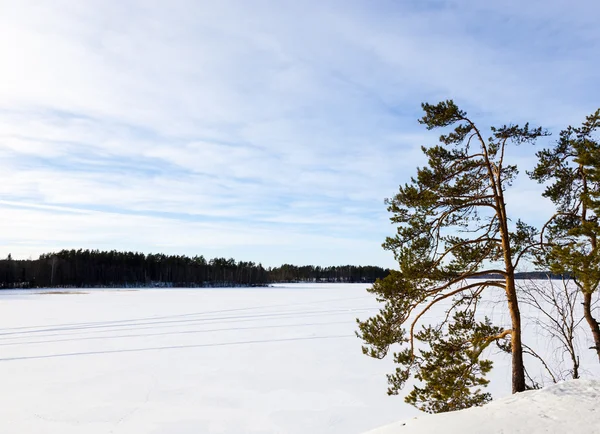 Zimní jezero — Stock fotografie