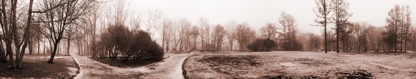 Panorama avec City Park dans le brouillard — Photo