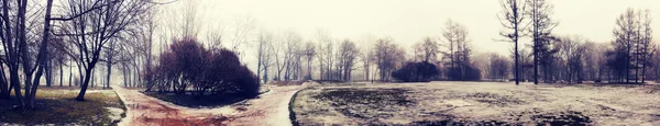 Panorama avec City Park dans le brouillard — Photo