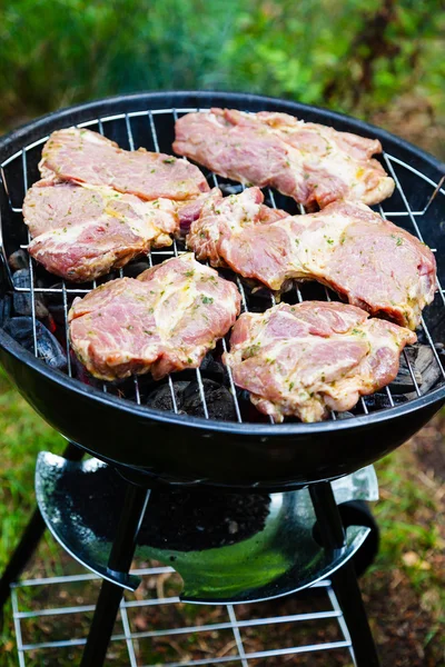 Carne cozida sobre carvão vegetal — Fotografia de Stock