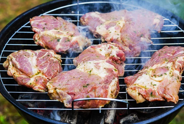 고기 숯불 요리 — 스톡 사진