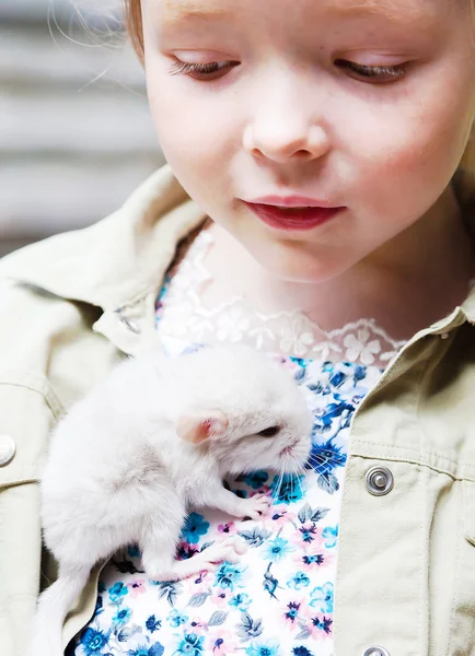 Porträtt av en flicka med en liten baby chinchilla — Stockfoto