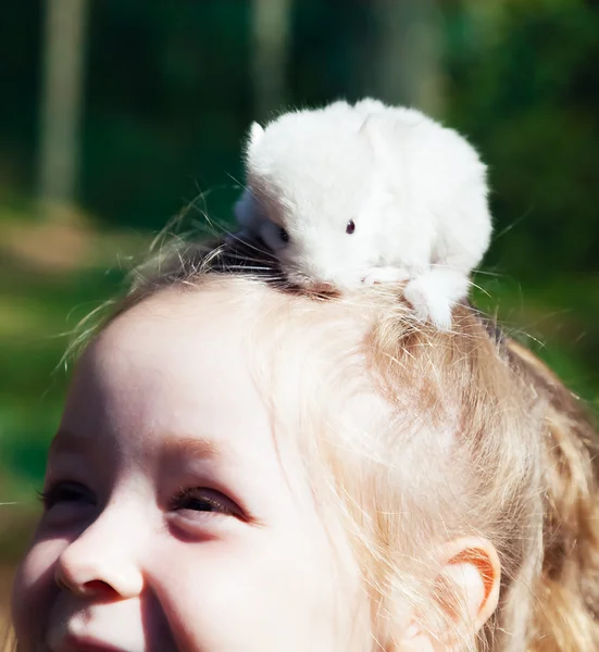 Porträtt av en flicka med en liten baby chinchilla sitter på henne — Stockfoto