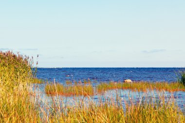 Manzara - güneşli bir yaz aylarında göl kıyısında