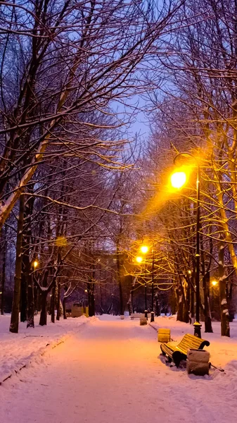 Stadspark in de winter — Stockfoto