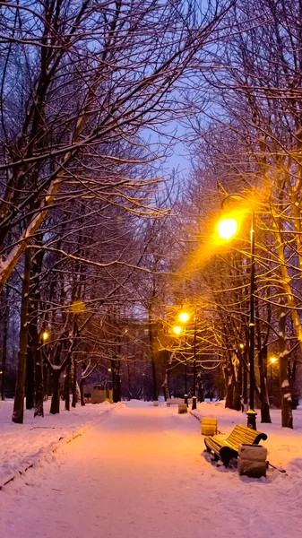 Stadtpark im Winter — Stockfoto