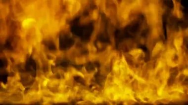 Ateş, üfleme, arka plan, gece yangını