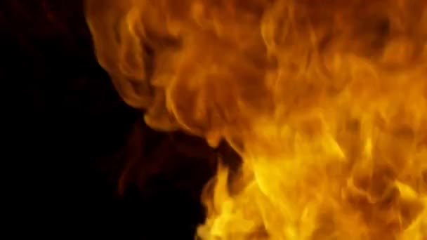 火的过渡 黑色背景 — 图库视频影像