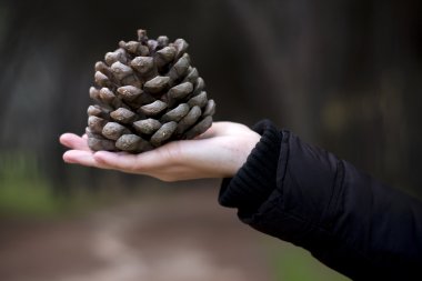 Yeşil yaprak tutan bir kadın kol