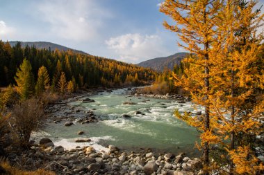 Sonbaharda Akalaha nehrinin yanında sabahın erken saatlerinde