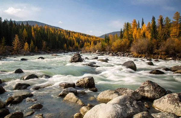 Sonbaharda Akalaha nehrinin yanında sabahın erken saatlerinde