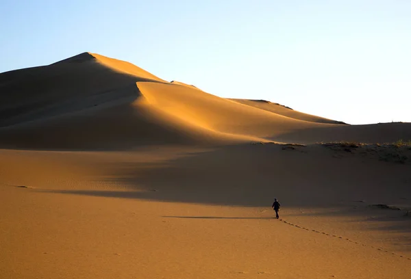 Sarykum kumulundaki kum dokusu - Dağıstan 'da bir çöl.