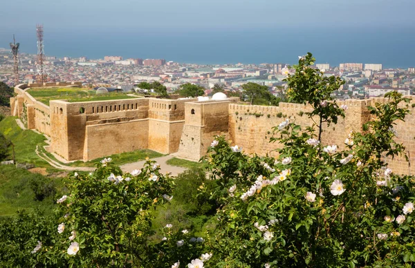 Derbent 'in asıl ilgi odağı Naryn-Kala kalesi.