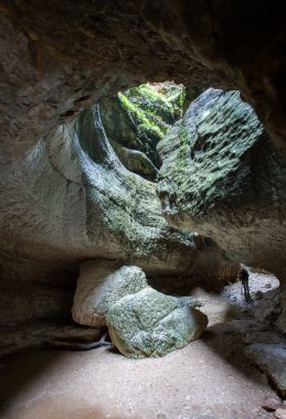 Yazın güneş doğarken Abrau 'nun üzüm bağlarıyla güzel bir manzara.