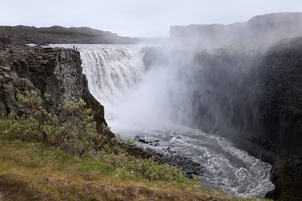 Types d'Islande — Photo