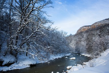 Nehir kıyısında kış sabahı