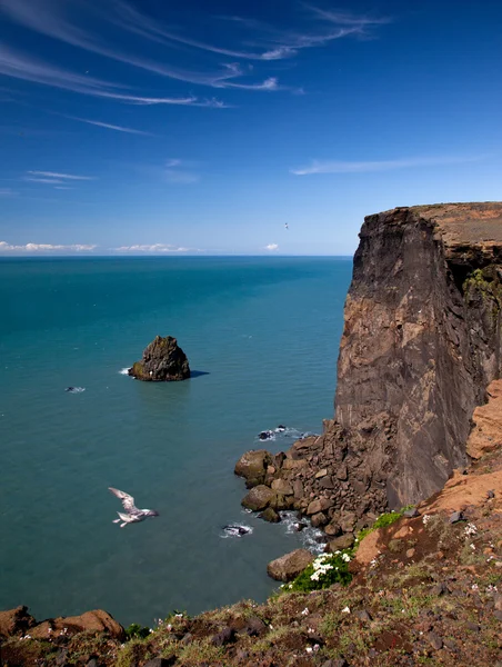 Costa da Islândia — Fotografia de Stock