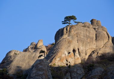 Sabah ışık kayalarda