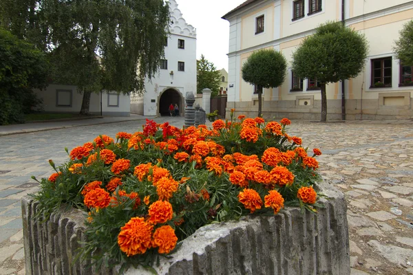 Las flores Imagen de archivo