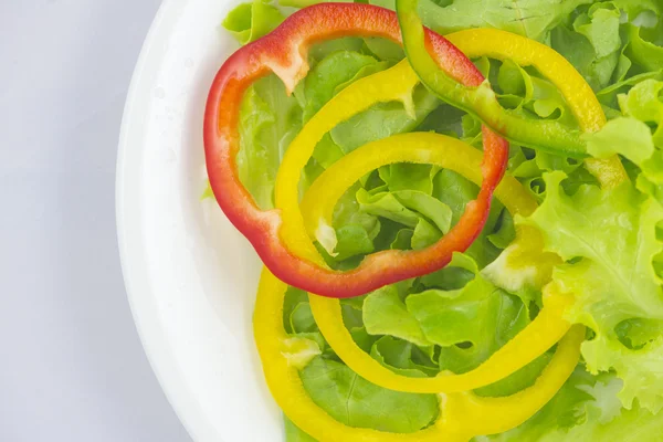 Çeşitli renkli biber, yeşil meşe marul