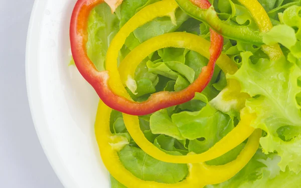 Çeşitli renkli biber, yeşil meşe marul