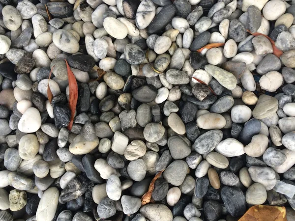 Arka planda çakıl taşları. Taş dokusuna yakın çekim