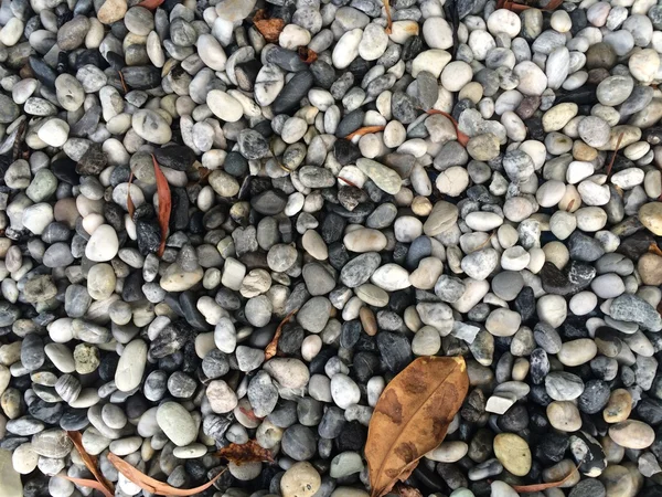 Arka planda çakıl taşları. Taş dokusuna yakın çekim
