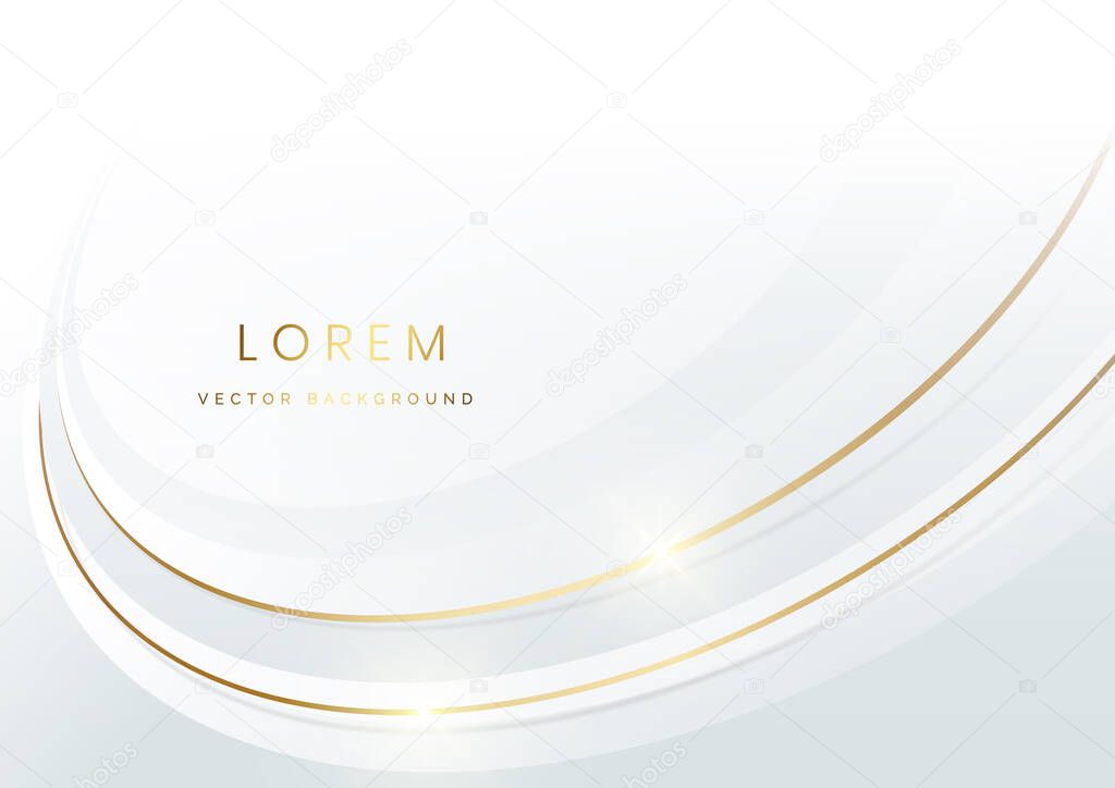 Abstract white and gray cruved luxury background with gold lines curve luxury style. Vector illustration