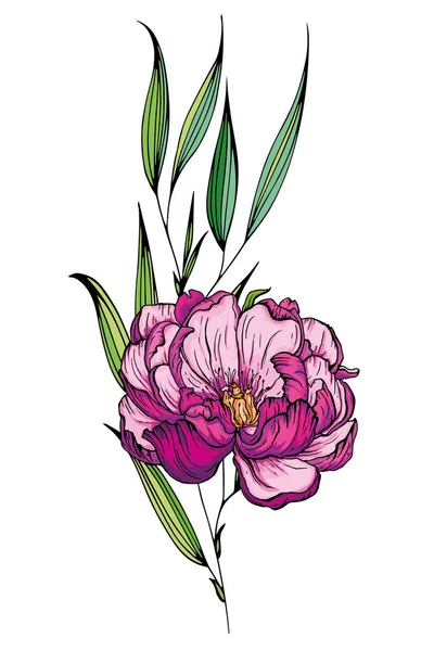 Beau bouquet fait à la main de pivoines roses. Illustration vectorielle — Image vectorielle