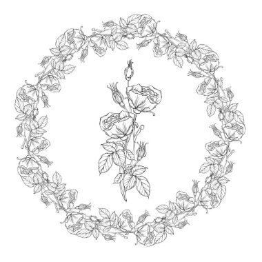 Bir buket siyah beyaz gül. Grafik çizimi. Çiçek buketi. Gül çiçeği 9