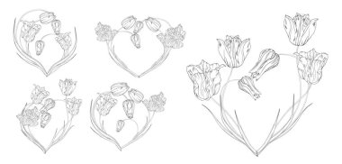 Bir çiçek seti kalbi düzenler. Çiçekli kalp. Bahar çiçekleri. Laleler.