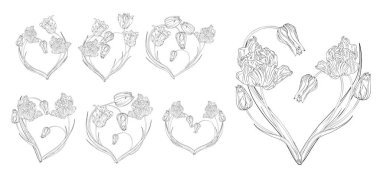 Bir çiçek seti kalbi düzenler. Çiçekli kalp. Bahar çiçekleri. Laleler.