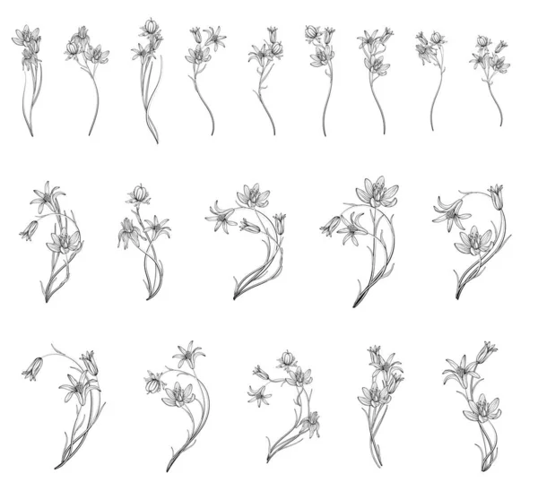Sada Květinových Aranžmá Jarní Květiny — Stockový vektor