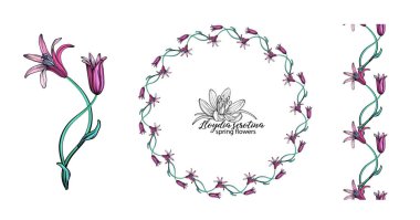 Bir dizi pembe çiçek. Çelenk. Buket. Bahar çiçekleri