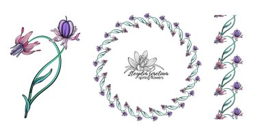 Bir dizi pembe çiçek. Çelenk. Buket. Bahar çiçekleri