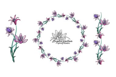 Bir dizi pembe çiçek. Çelenk. Buket. Bahar çiçekleri