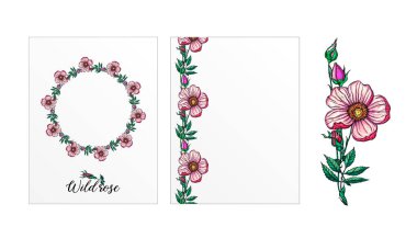 Gül çiçekli bir kartpostal seti. Pembe çiçekler. Gül.