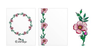 Gül çiçekli bir kartpostal seti. Pembe çiçekler. Gül.